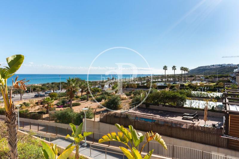 Foto 863c8e06-7d3d-41c6-9c4c-9eb142526c5c. Alquiler piso apartamento en alquiler en jávea en Xàbia