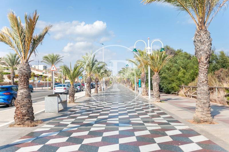 Foto 92c4bfab-e1ab-4347-b7a9-4b6f568ba74f. Flat with heating parking pool in Los Arenales del Sol Elche / Elx