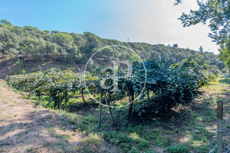 Foto 015a05bb-7232-4ca8-965f-5539ee46bd70. Mas avec chauffage parking dans Rocaferrera Sant Andreu de Llavaneres