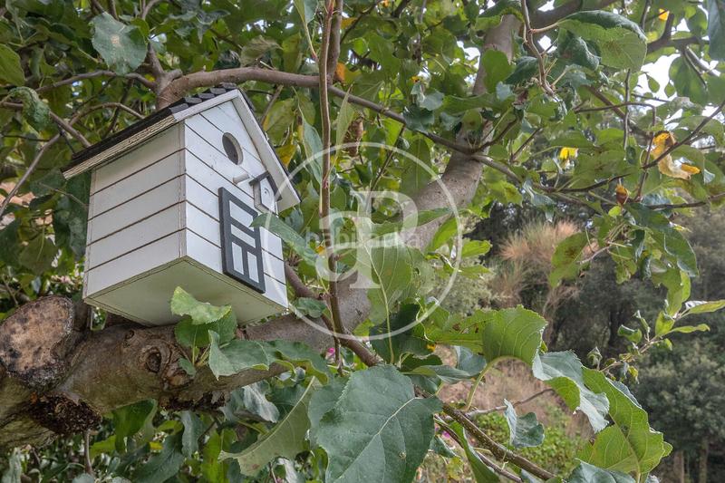 Foto 2e667685-3bed-476e-aa7b-c3bc23807bae. Mas avec chauffage parking dans Rocaferrera Sant Andreu de Llavaneres