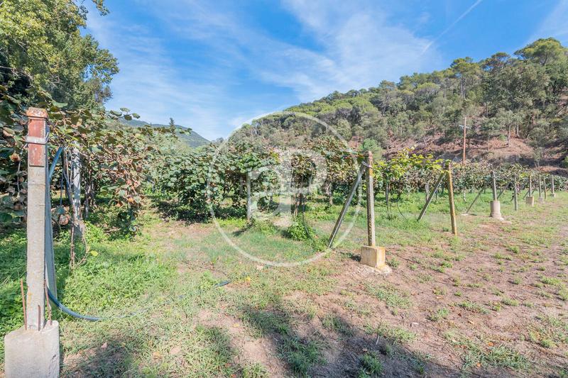 Foto 40066ef1-feb1-4e40-b2ea-fda0f1706fbb. Mas avec chauffage parking dans Rocaferrera Sant Andreu de Llavaneres