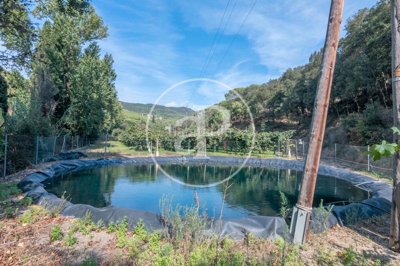 Foto 63d1bf93-4e4c-4d8d-a3c5-6ece9aec8645. Mas avec chauffage parking dans Rocaferrera Sant Andreu de Llavaneres