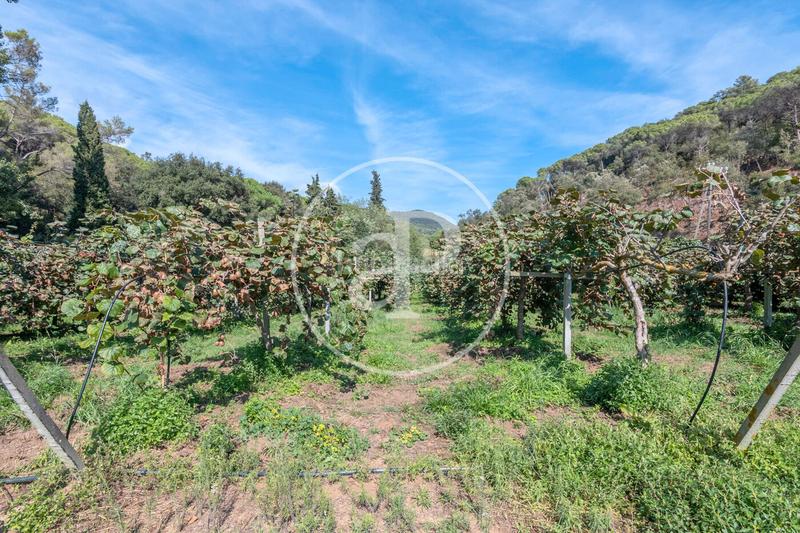 Foto 82c064de-a781-48fe-adba-78f2277d6540. Mas avec chauffage parking dans Rocaferrera Sant Andreu de Llavaneres