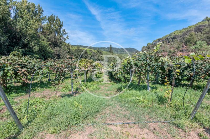 Foto 90c1f44c-f7a4-45b6-8386-c2d879355413. Mas avec chauffage parking dans Rocaferrera Sant Andreu de Llavaneres