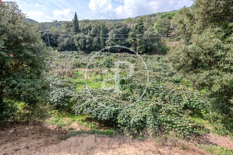 Foto b60be3c3-763e-4b2a-bcf9-ba9c8cff437a. Mas avec chauffage parking dans Rocaferrera Sant Andreu de Llavaneres