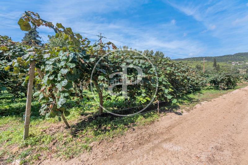 Foto c2327c14-7112-4323-8515-712742854bce. Mas avec chauffage parking dans Rocaferrera Sant Andreu de Llavaneres