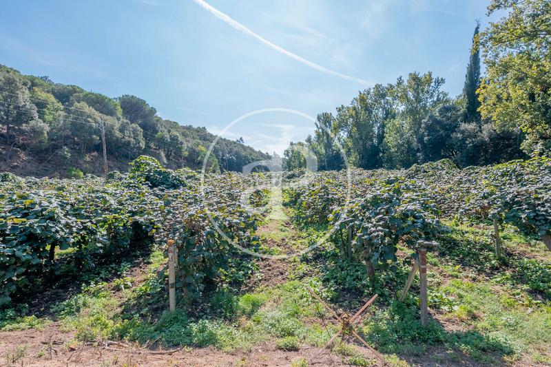 Foto c8d71938-64db-43d7-a0c3-65d9bc300f5e. Mas avec chauffage parking dans Rocaferrera Sant Andreu de Llavaneres