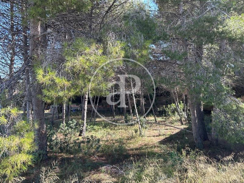 Foto f725fb11-48ed-4214-881c-aa3bfd24b833. Terreno residenziale in La Cañada Paterna