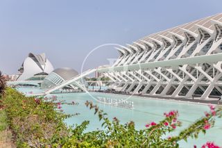 Pis  Carrer de luis bolinches compañ. Piso en venta en la ciudad de las artes y las ciencias