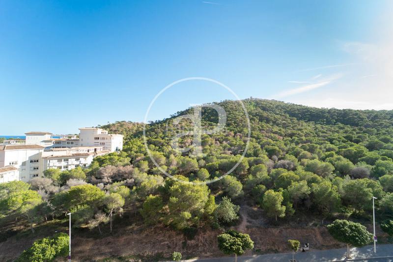 Foto be0860ca-e26d-433c-8fd6-c60577d3d8c8. Pis amb calefacció aparcament piscina a Mirador de la Cala-Benimar Vila Joiosa (la)