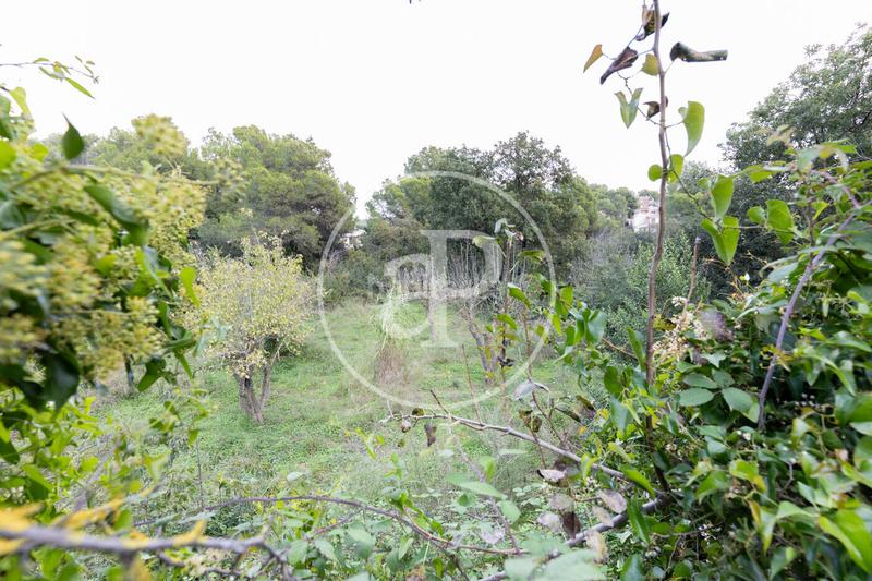 Foto 2abd0331-bc24-4184-a9a5-25ebee5007e3. Terreno residencial en Sant Muç Rubí