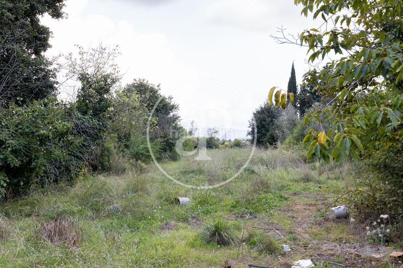 Foto 44c0f851-cf48-42da-b8b0-478981f25952. Residential plot in Sant Muç Rubí