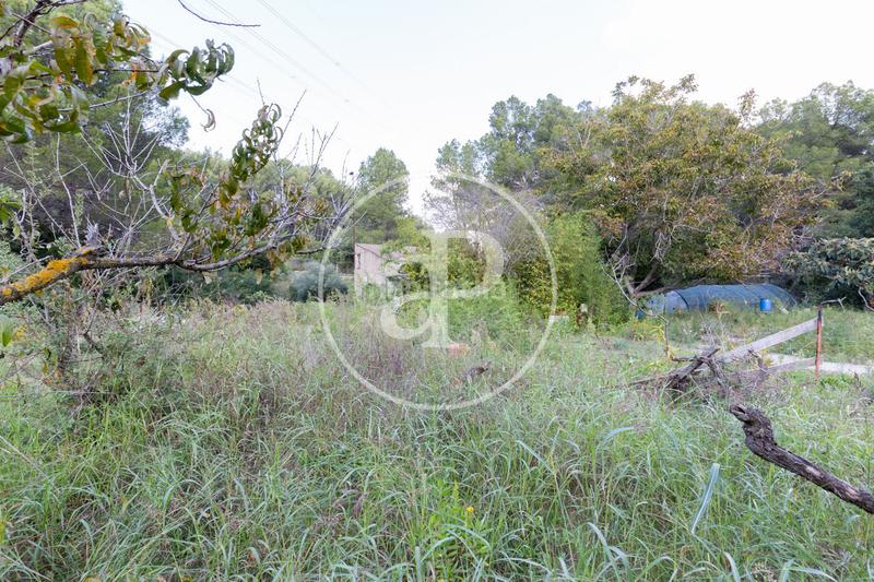 Foto 4ab182db-3e3c-48dc-bb27-764fb4d68c7a. Residential plot in Sant Muç Rubí