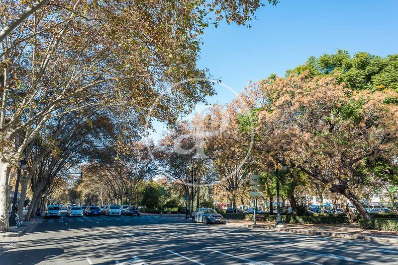 Foto b0dd91ee-a5c1-4651-9279-814d273b0aa8. Miete loft mit heizung in Albors Valencia