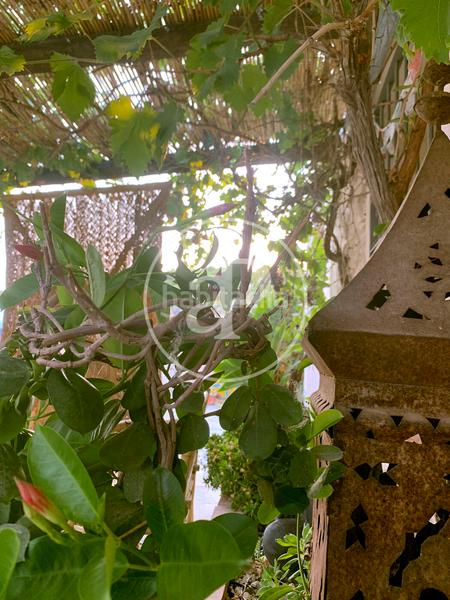 Foto 0de84787-e4f5-4276-836b-0c5ddaead642. Casale con riscaldamento parcheggio in Torre de les Maçanes (la)