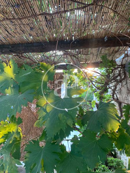 Foto 718e2fff-ba0c-4948-80e1-eb6354512a2f. Casale con riscaldamento parcheggio in Torre de les Maçanes (la)