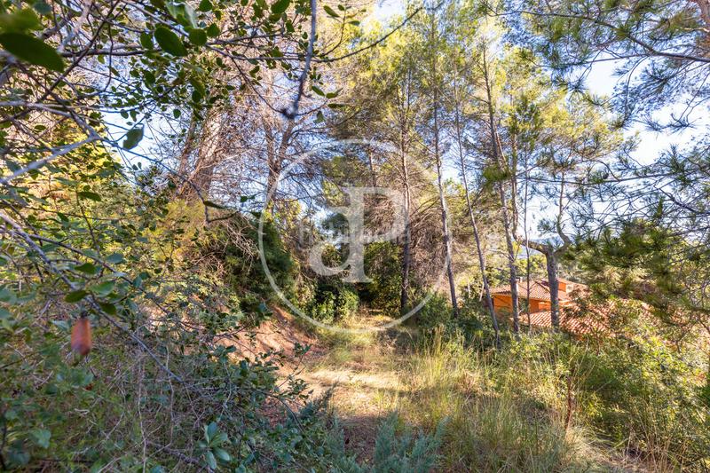 Foto c2e5d51c-f9e2-49e4-ac88-e90b3d55f872. Terreny residencial a Bellaterra