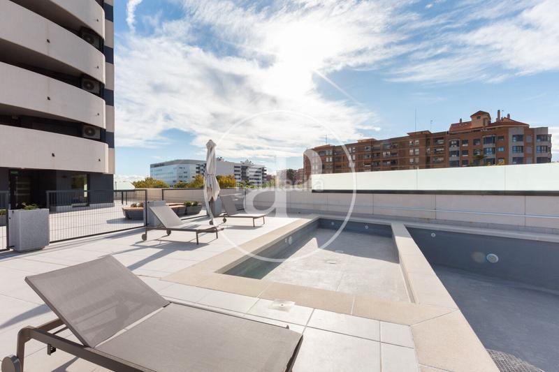 Foto 971abeba-d40e-434a-930a-4c75c314a412. Alquiler ático  en alquiler en safranar en Sant Isidre Valencia