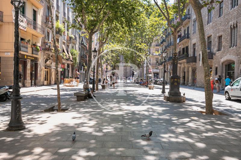 Foto 911cc986-ccf5-417d-9ac3-51cb7a53ee57. Lloguer pis amb calefacció a Barceloneta Barcelona