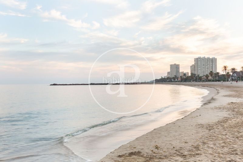 Foto ece613a0-564a-43ff-84c9-30ed96f6861c. Terreny residencial a Alfinach - Monasterios Puçol