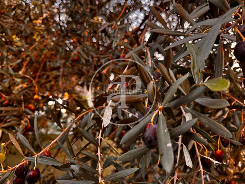 Foto 0cf4a62f-fe60-46fa-9913-fac58e893694. Casa con riscaldamento parcheggio in Corinto-Almardà Sagunt