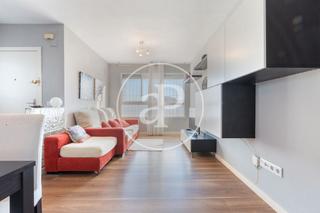 Lloguer Pis  Carrer albufera. Piso en alquiler en paiporta