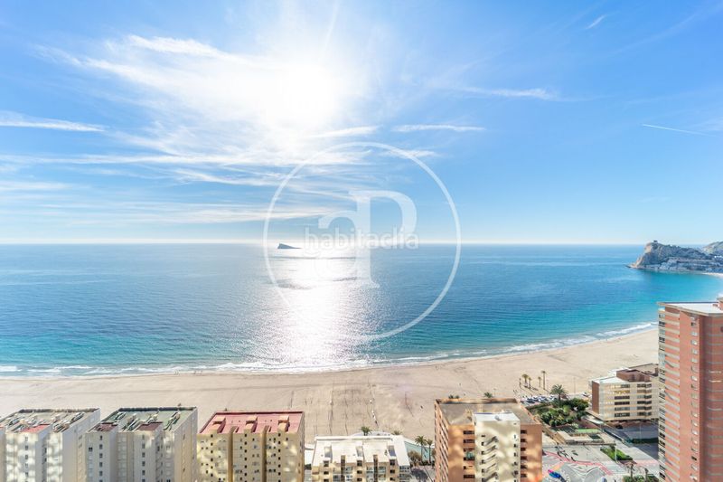 Foto 213ea782-3d03-464f-aee3-7d49f6fd7652. Pis amb calefacció aparcament piscina a Playa Poniente Benidorm