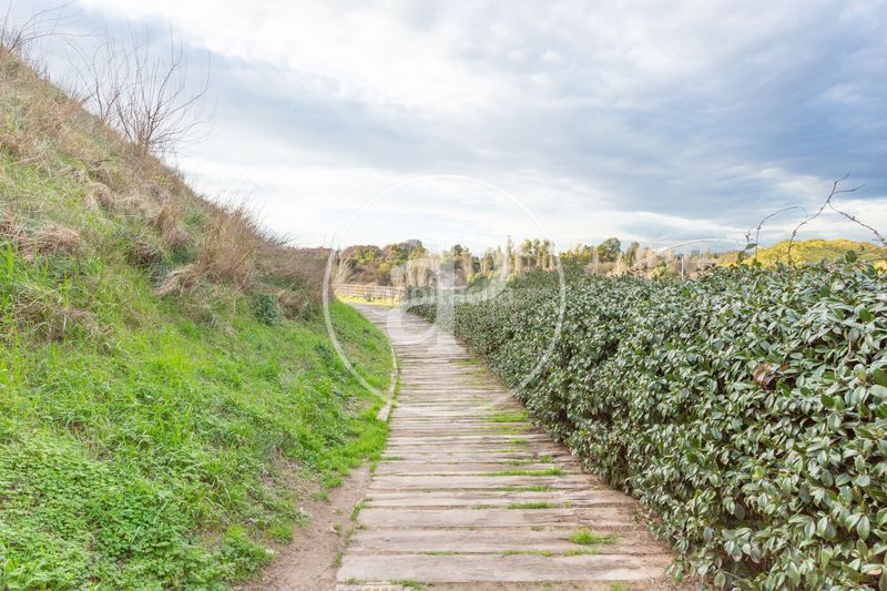 Ático en venta en Nou Moles en Nou Moles Valencia - Imagen 61