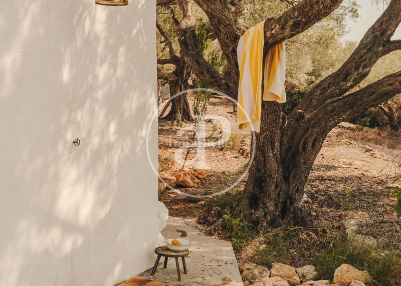 Foto f70be842-a945-4930-9f16-1692ea8cc8c3. Casa amb aparcament piscina a Ampolla (L´)