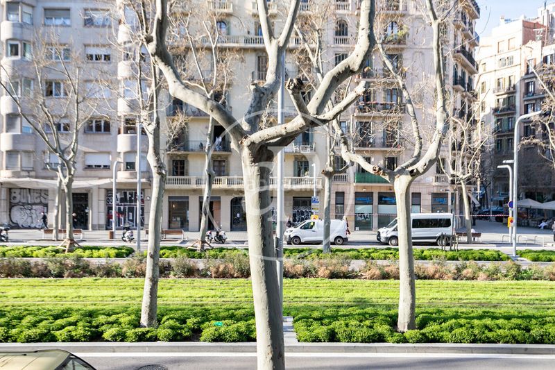 Foto 09055265-bde2-4ed3-b6af-ca5ae7405439. Pis amb calefacció a Dreta de l´Eixample Barcelona