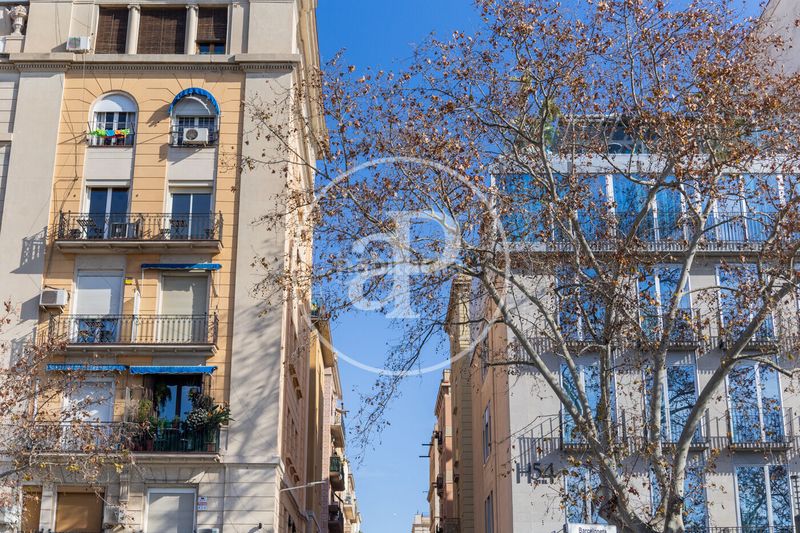 Foto a88ab4a1-7c4c-4c1c-b8dc-9c1c37433601. Pis amb calefacció a Barceloneta Barcelona