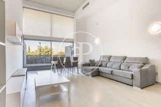 Lloguer Pis  Carrer de la creu roja. Loft en alquiler en vara de quart