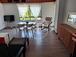 Lloguer Pis  C/ del poeta mas i ros. Piso en alquiler en junto a la plaza del cedro