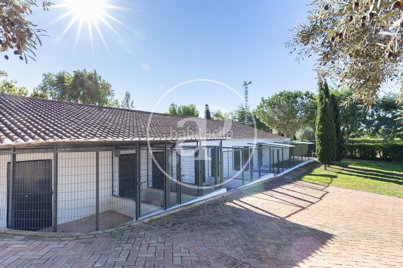 Foto 5d3b8afd-8a07-4e8d-ae04-de23106114bf. Casa amb calefacció aparcament piscina a Los Pinares-La Masia Bétera