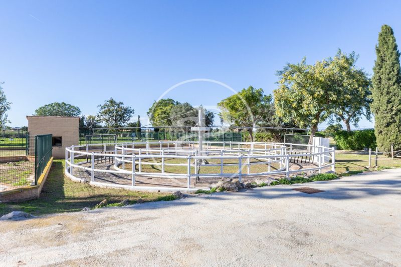Foto f3c8eb1f-a5d8-43c8-a32d-cedf92692170. Casa amb calefacció aparcament piscina a Los Pinares-La Masia Bétera