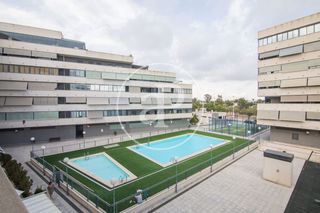 Lloguer Pis  Avinguda de jubalcoi. Piso en alquiler en elche