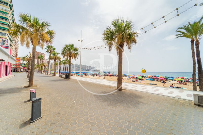 Foto 020de618-6078-41c1-b871-c73baf23ba28. Pis amb calefacció a Playa Levante Benidorm