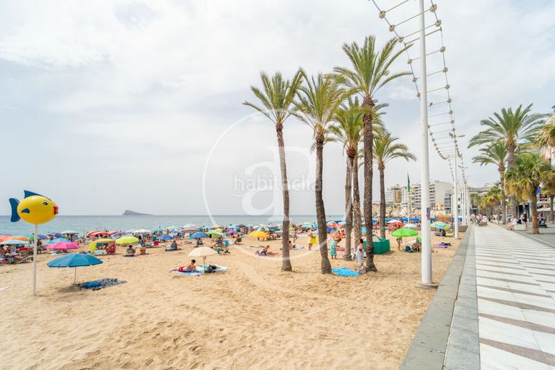 Foto 0d2fe70f-1bb5-4508-a896-8975a3d51b58. Pis amb calefacció a Playa Levante Benidorm