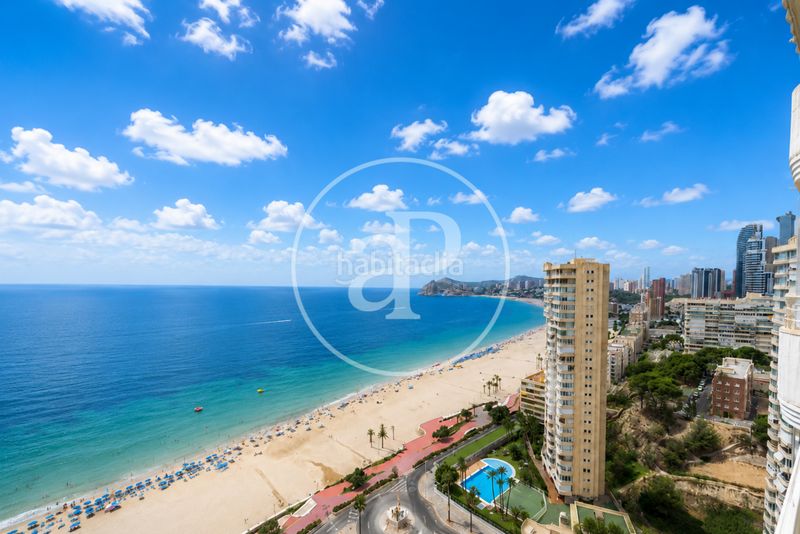 Foto 477ac988-ff4c-42a1-a138-2be5669744d1. Pis amb calefacció aparcament piscina a Playa Poniente Benidorm