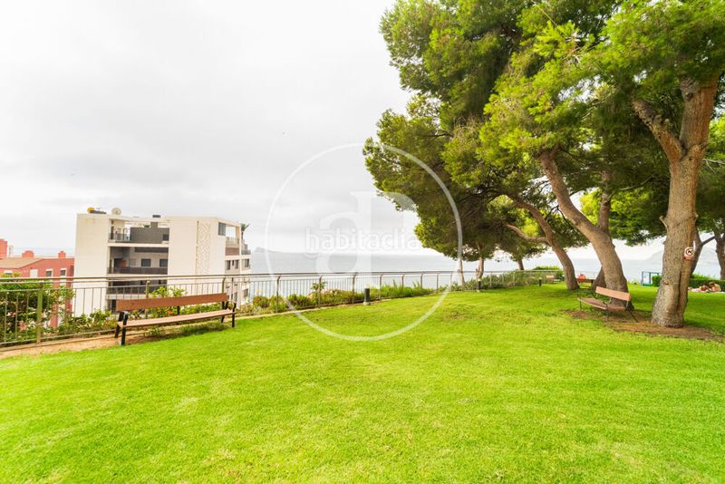Foto 6440c5d9-e500-40d2-b55d-1033ad0ebce2. Pis amb calefacció aparcament piscina a Playa Poniente Benidorm