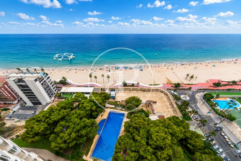 Foto ff33eb61-e3a7-4b11-bf58-e42b392defbc. Pis amb calefacció aparcament piscina a Playa Poniente Benidorm