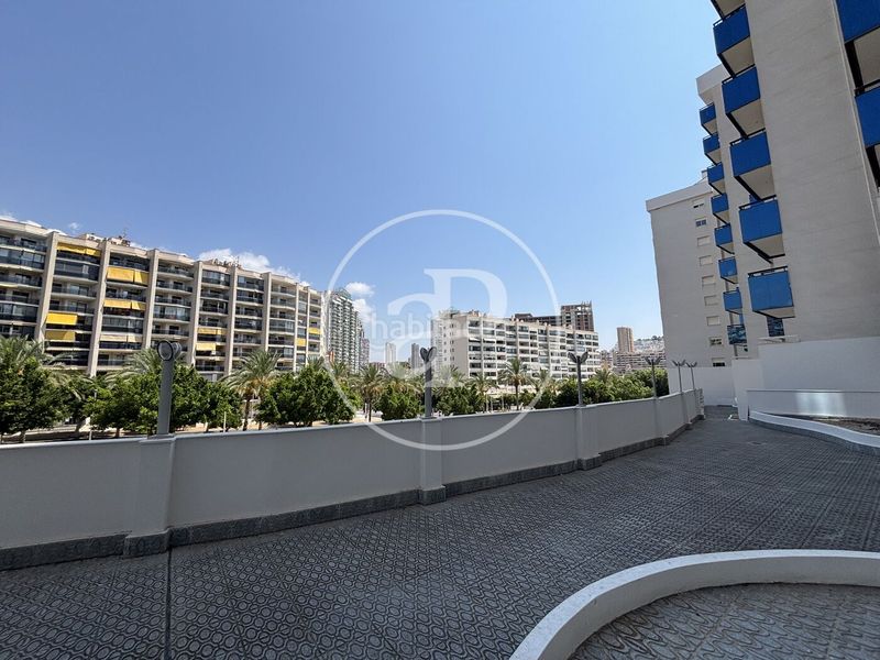 Foto ccbd36ac-0b05-43f1-8db4-b1d4008e1324. Pis amb calefacció aparcament piscina a Playa Poniente Benidorm