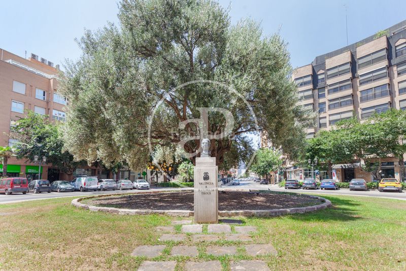 Foto af99d1fb-9f6d-435b-b825-18f270078488. Pis a L´Hort de Senabre Valencia