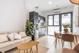 Loft a L´Hort de Senabre