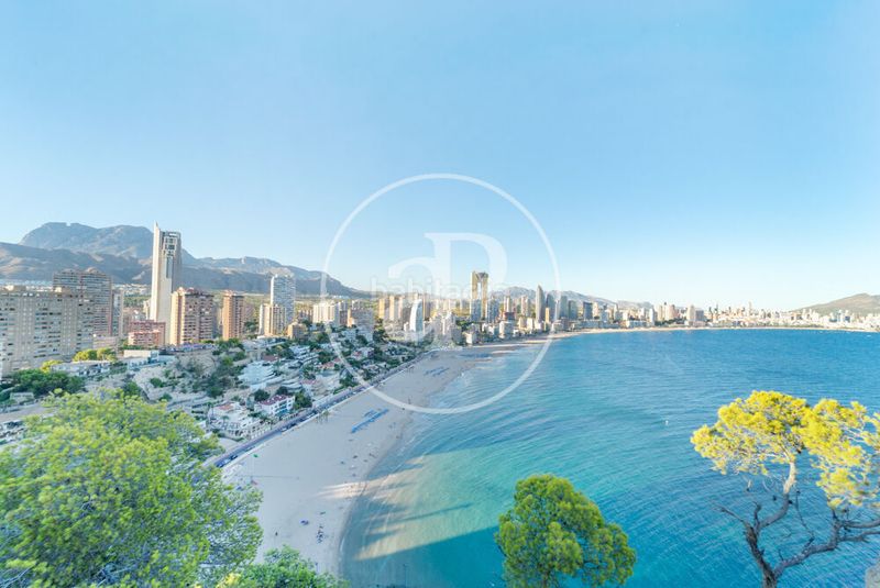 Foto 3691a648-5964-4b9e-9910-7f6f4252e515. Piso  en venta en Playa Poniente Benidorm