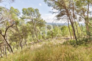 Terreny residencial a El Bosque