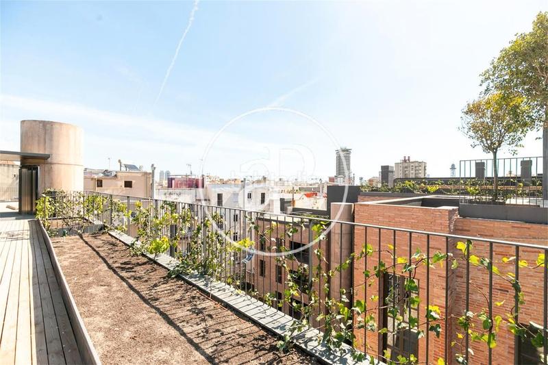 Foto 8d8e7079-ed56-4971-b3b1-a10f72203423. Piso 61m<sup>2</sup> en Raval Barcelona