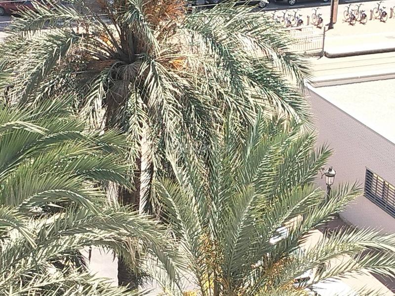 Foto 1a242e34-ca09-4562-b250-fb03a1bef448. Appartamento in El Cabanyal-El Canyamelar Valencia