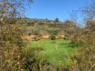 Finca rústica a Camino cara cuesta 5