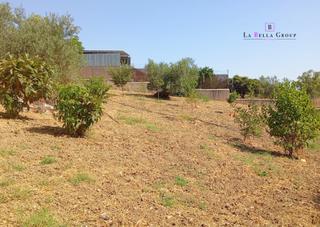 Finca rústica  Partido la campiñuela. Terreno rústico en venta en alhaurín el grande (málaga) – 1.704